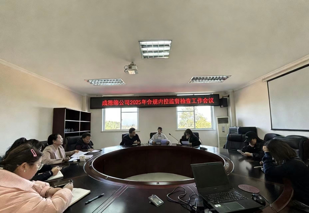 成德绵公司2025年合规内控监督检查工作...